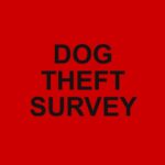 dog theft survey image