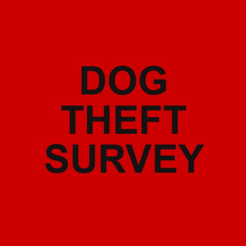 Dog Theft Survey