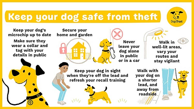 Protecting your Dog from Theft