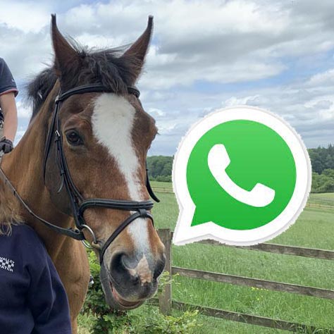 New Chiltern Rural Crime WhatsApp Group