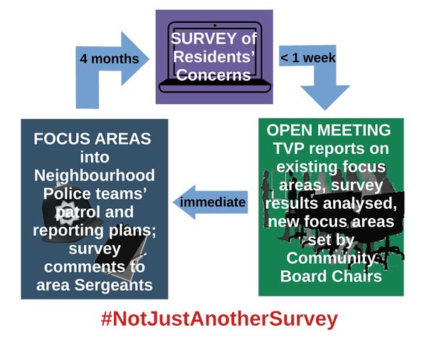 graphic of Forum survey and meetings cycle