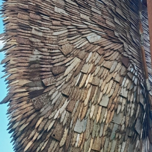 wing detail, knife angel, Slough January 2023